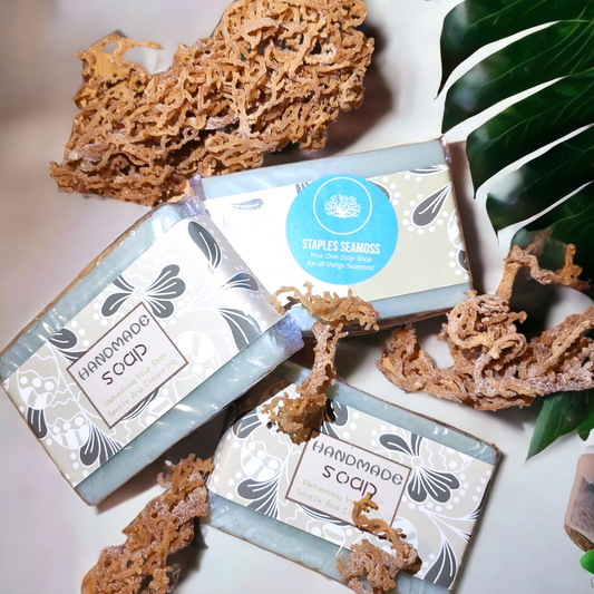 Seamoss Gardenia Soap image 1