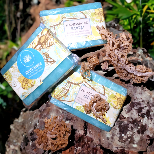 Seamoss Forest Soap image 2
